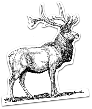 エルクイラスト